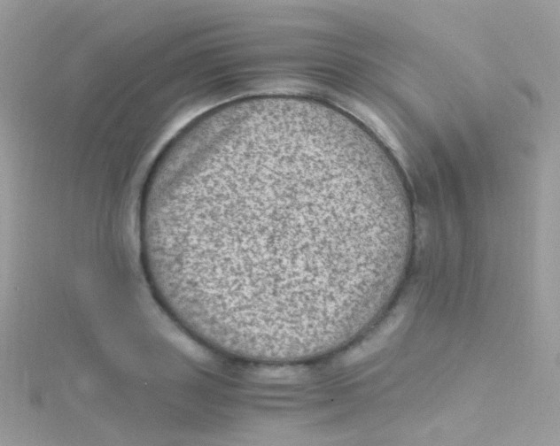 X0000115060843200911231213