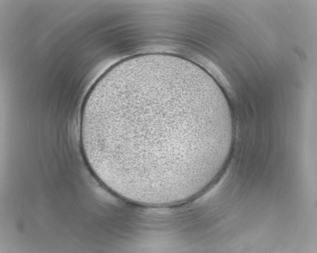 X0000115060844200911231213