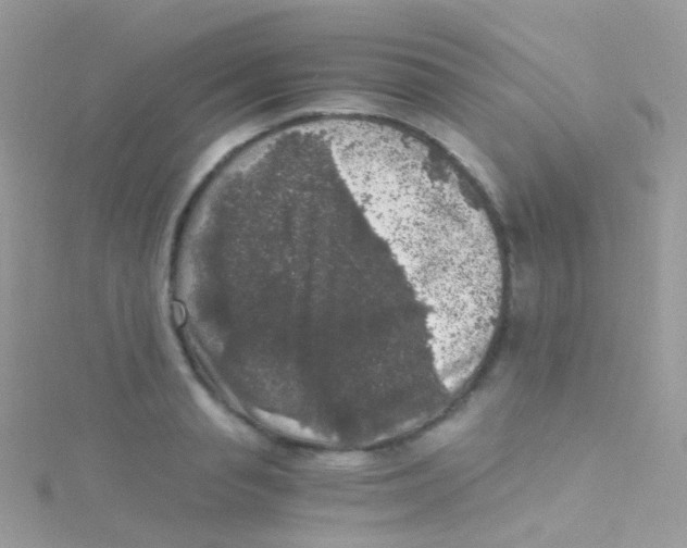 X0000115060845200911231213