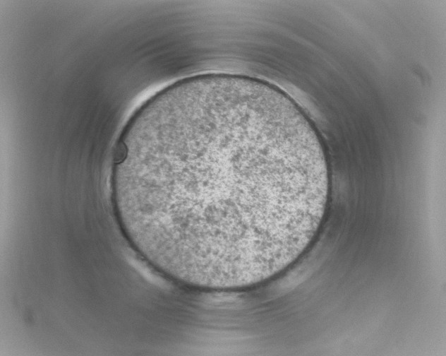 X0000115060846200911231213