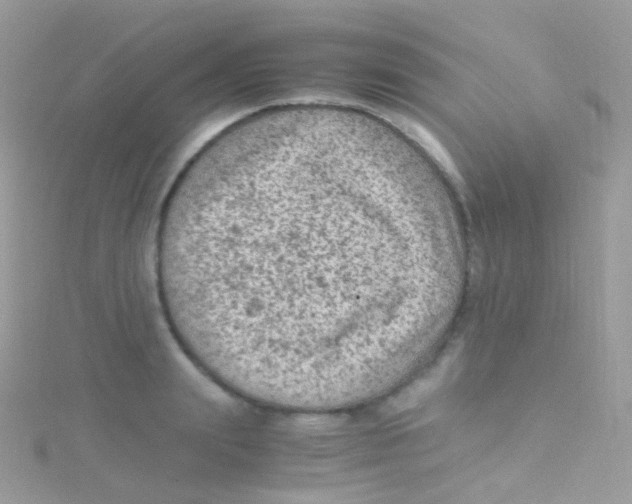 X0000115060847200911231213