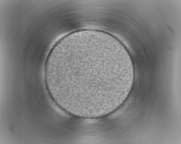 X0000115060848200911231213