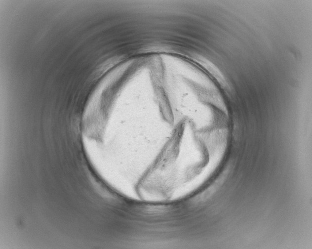 X0000115060849200911231213