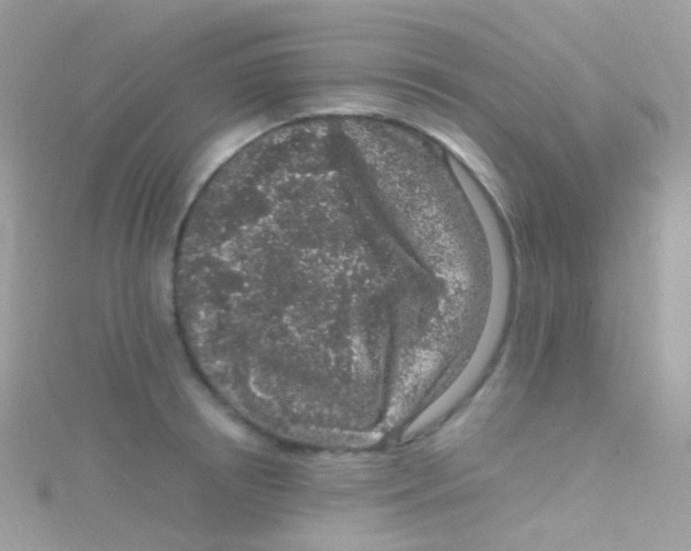 X0000115060850200911231213