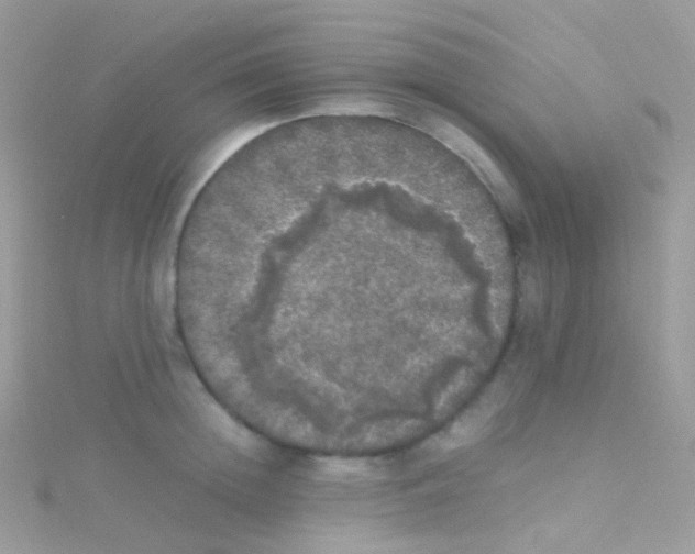 X0000115060852200911231213