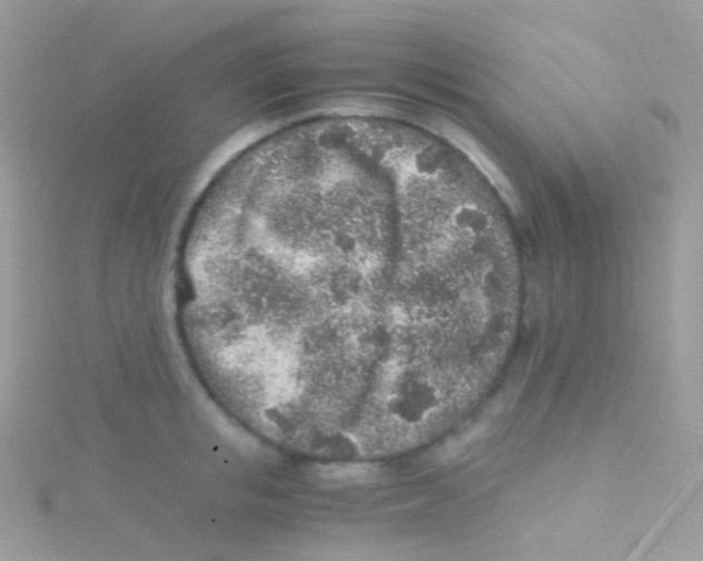 X0000115060853200911231213