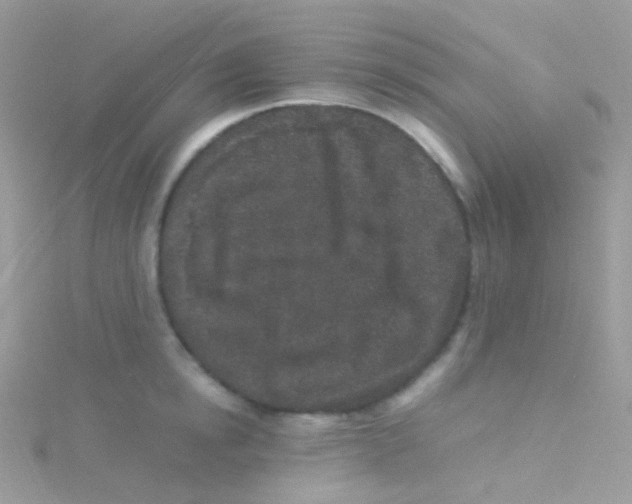 X0000115060854200911231213