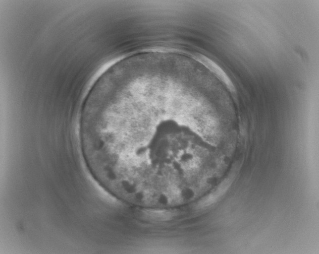 X0000115060855200911231213