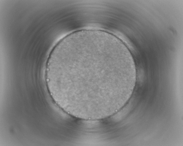 X0000115060856200911231213