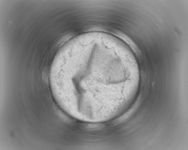 X0000115060857200911231213