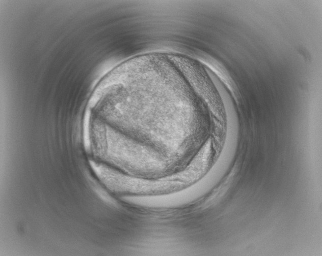 X0000115060858200911231213