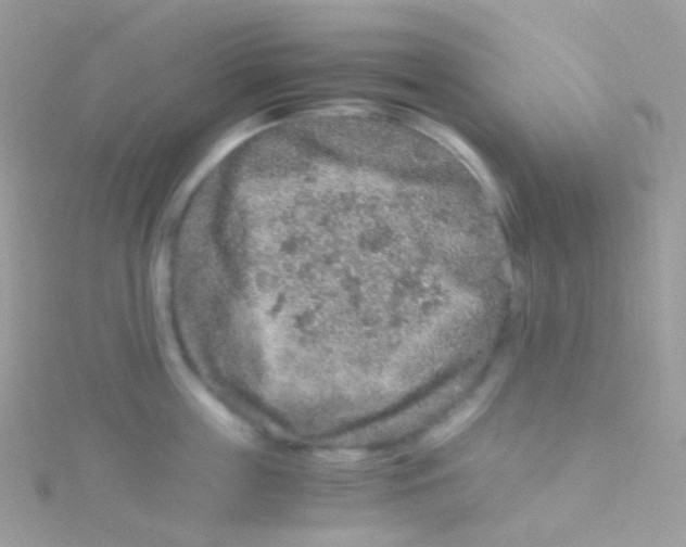 X0000115060859200911231213