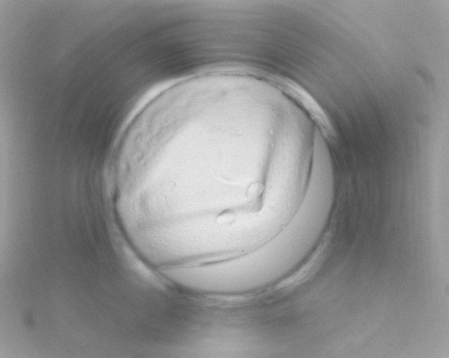 X0000115060860200911231213