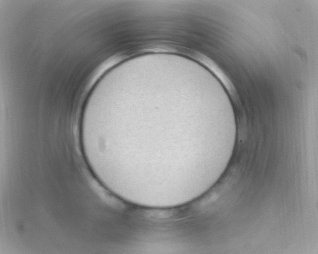 X0000115060861200911231213