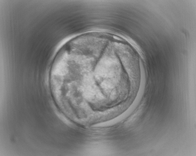 X0000115060862200911231213