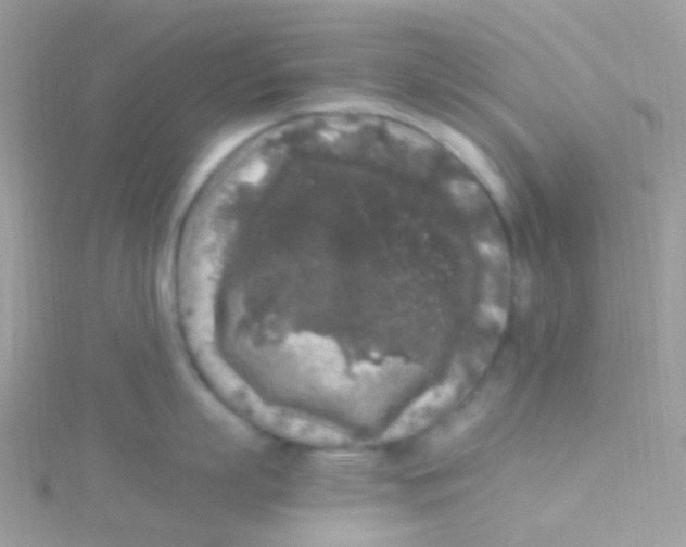 X0000115060863200911231213