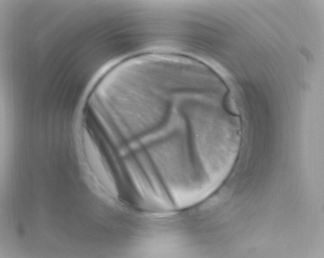 X0000115060864200911231213