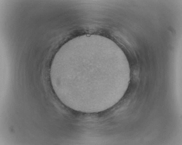 X0000115060865200911231213