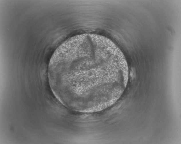 X0000115060867200911231213