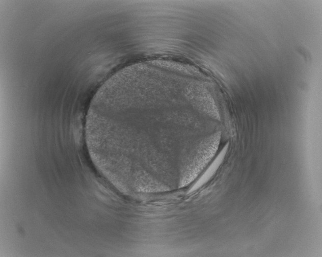 X0000115060868200911231213