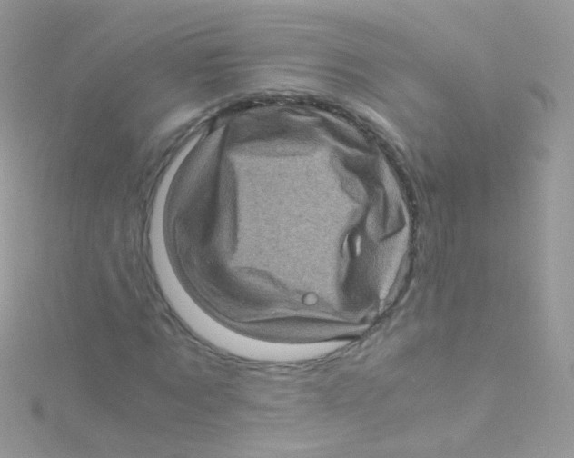 X0000115060869200911231213