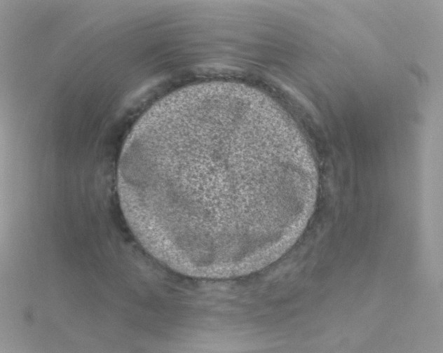 X0000115060870200911231213