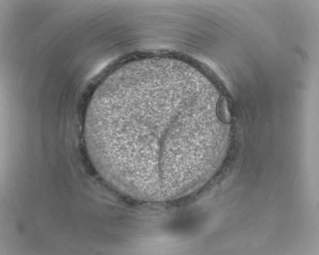 X0000115060871200911231213