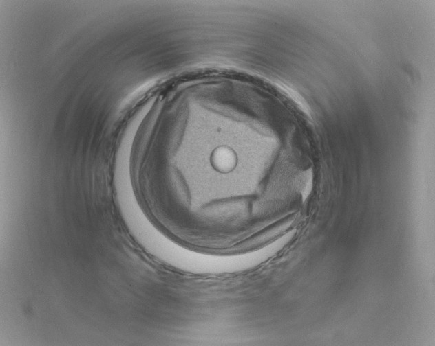 X0000115060872200911231213