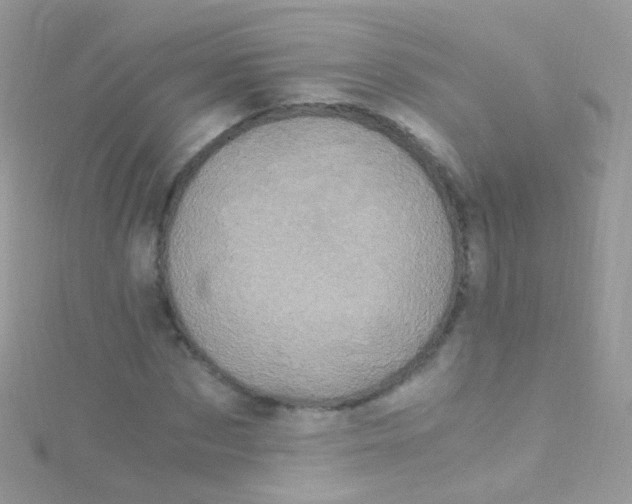 X0000115060873200911231213