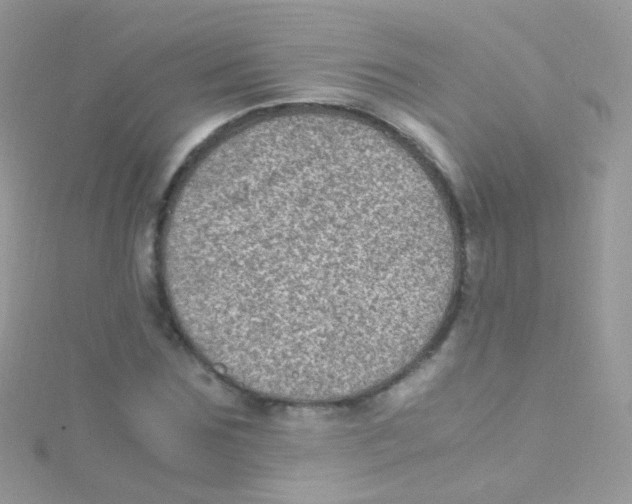 X0000115060875200911231213