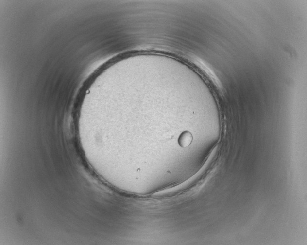 X0000115060876200911231213