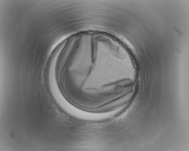 X0000115060877200911231213