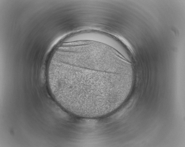 X0000115060878200911231213