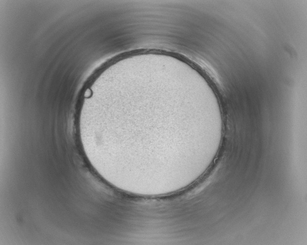 X0000115060880200911231213