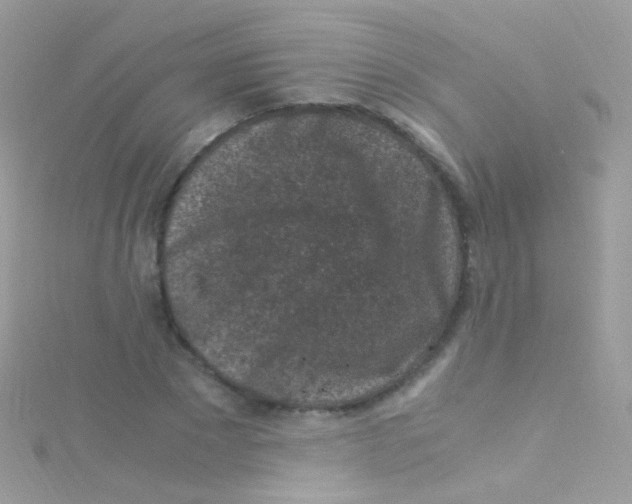 X0000115060881200911231213