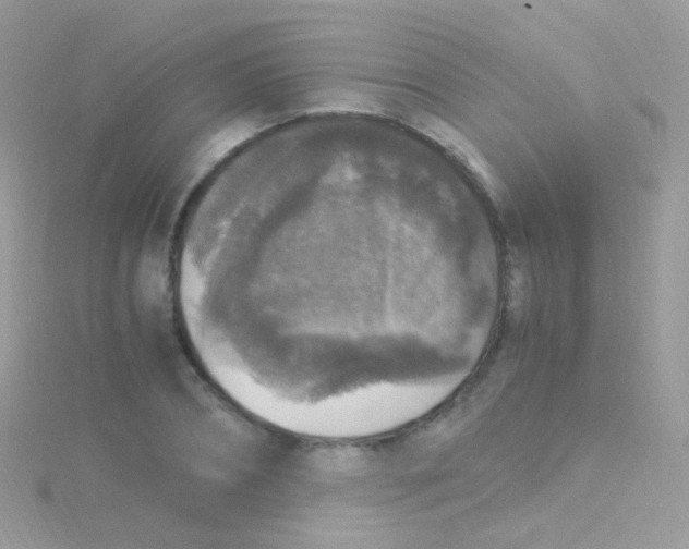 X0000115060882200911231213