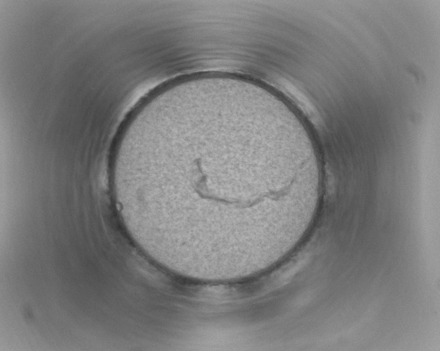 X0000115060883200911231213