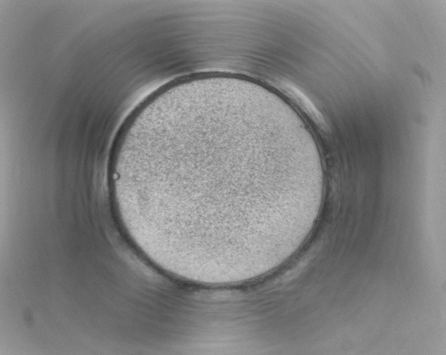 X0000115060884200911231213