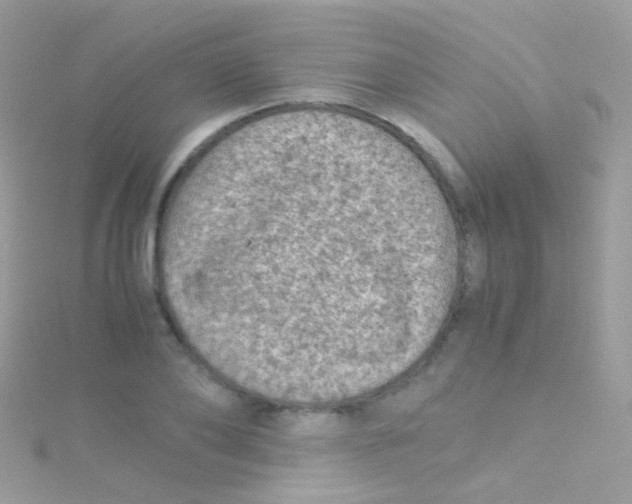 X0000115060886200911231213