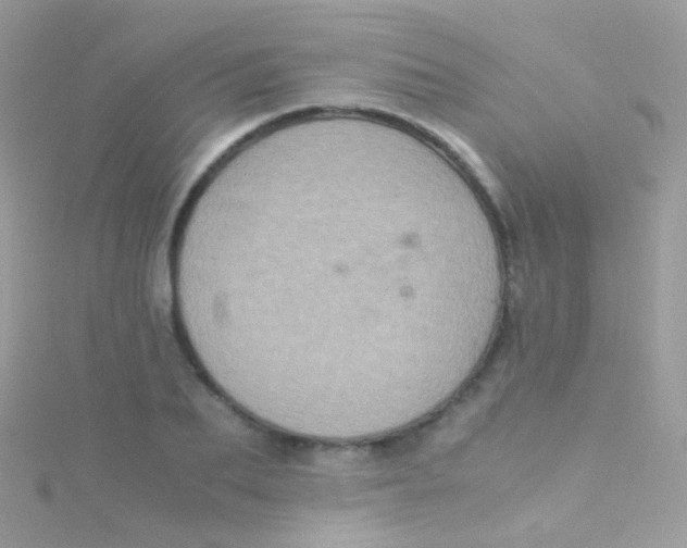 X0000115060887200911231213