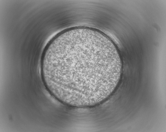 X0000115060888200911231212