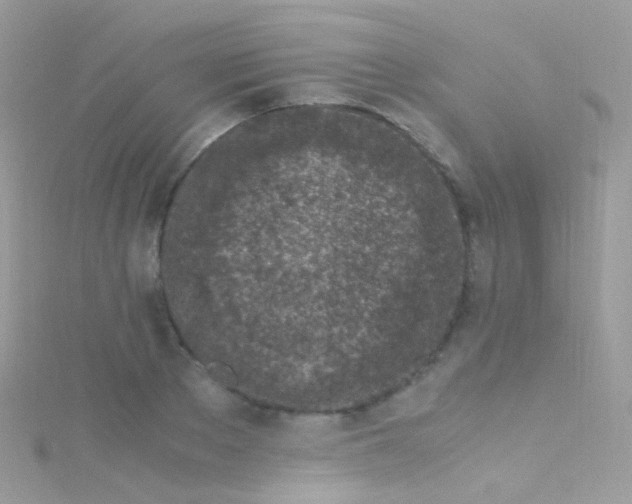 X0000115060889200911231212