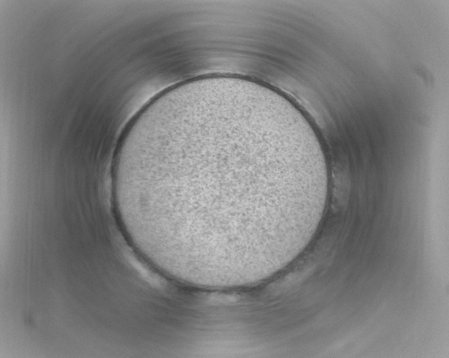 X0000115060890200911231212