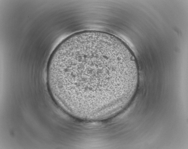 X0000115060891200911231212