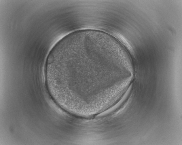 X0000115060892200911231212