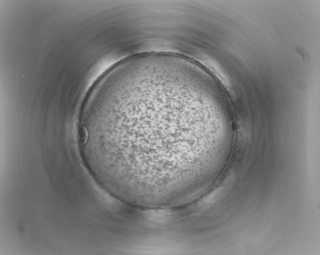 X0000115060893200911231212