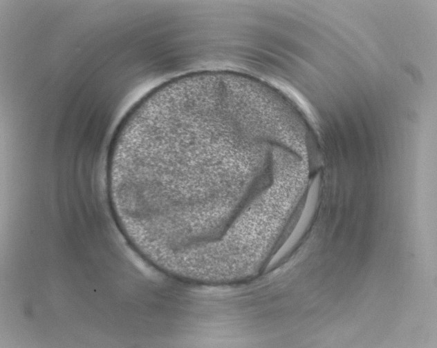 X0000115060894200911231212