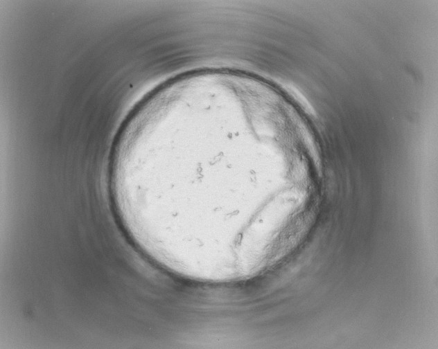 X0000115060895200911231212