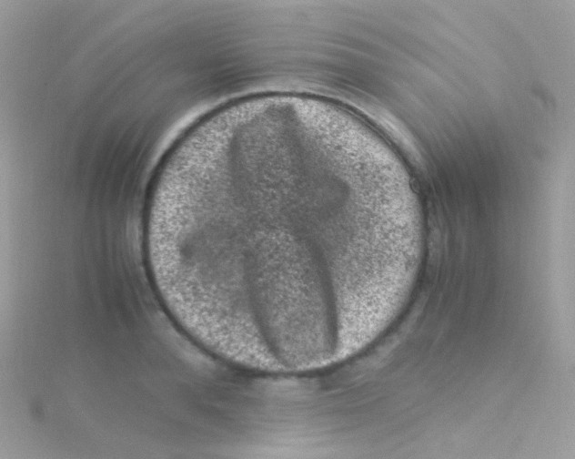 X0000115060896200911231212