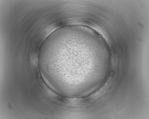 X0000115060897200911231212